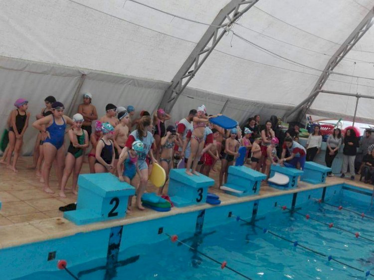 Natación Infantil en la PileCAF