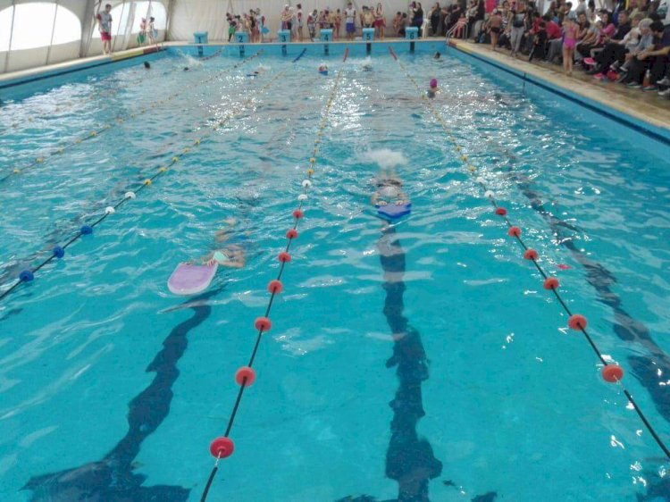Natación Infantil en la PileCAF