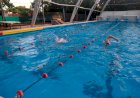 Verano: clases de Natación