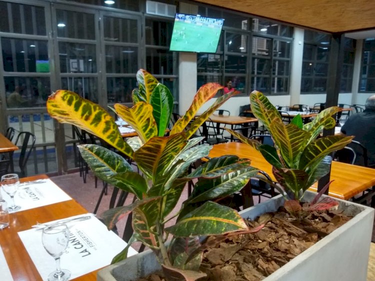 Disfrutá de un gran momento en el Restobar “La Cantina de Fisherton”