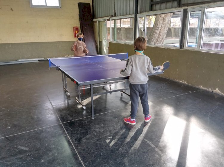 Tenis de Mesa en la Sede