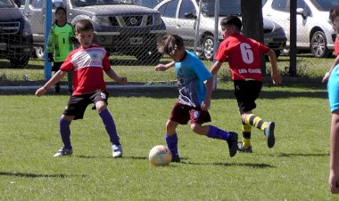 Fútbol: crecimiento en todas las categorías